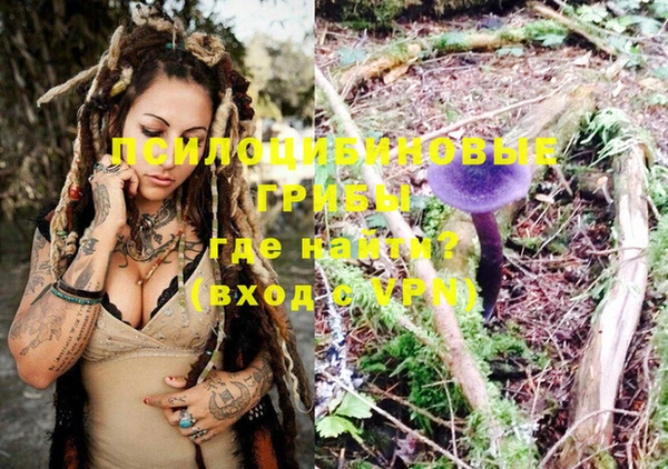 PSILOCYBIN Абинск