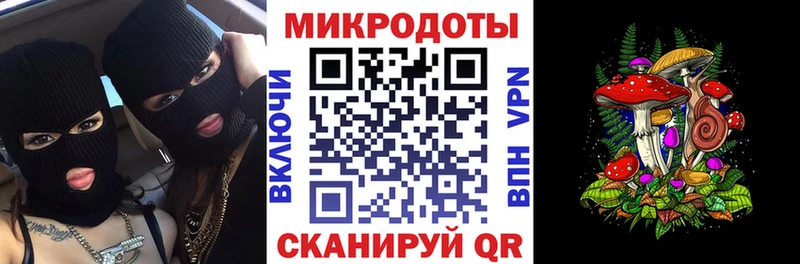 OMG как войти  Камень-на-Оби  Галлюциногенные грибы Psilocybine cubensis 